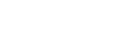 Flex Xperience Center Footer Logo